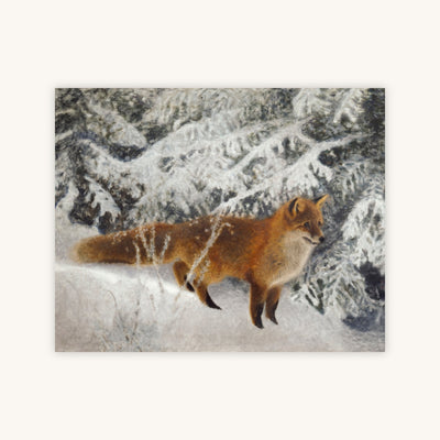 Winter Fox — Primary Image