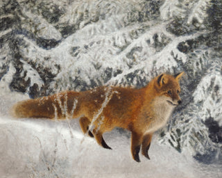 Winter Fox