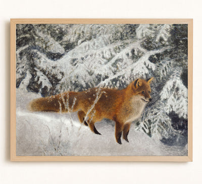 Winter Fox