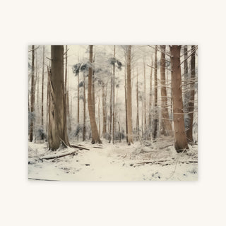 WINTER WOODS — Primary Image