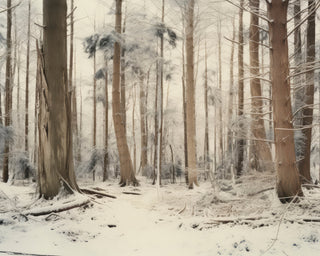 WINTER WOODS