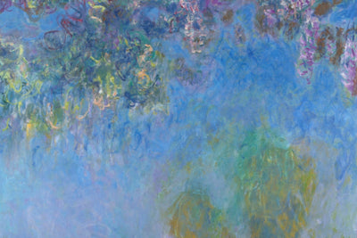 Wisteria