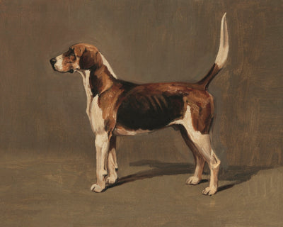 Woldsman