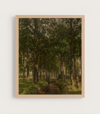 Wood Bathing in Sunshine