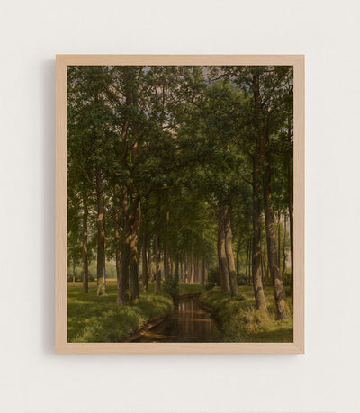 Wood Bathing in Sunshine