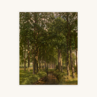 WOOD BATHING IN SUNSHINE — Primary Image