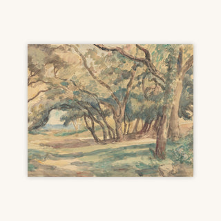 WOODED GLADE — Primary Image