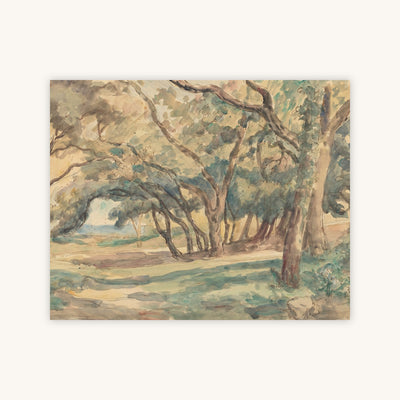 WOODED GLADE — Primary Image