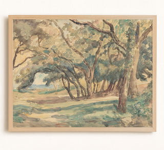 Wooded Glade