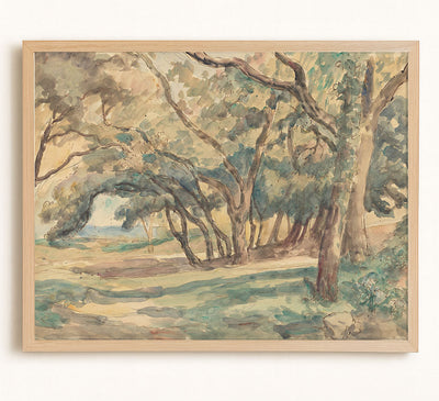 Wooded Glade
