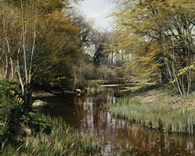 WOODED RIVER LANDSCAPE