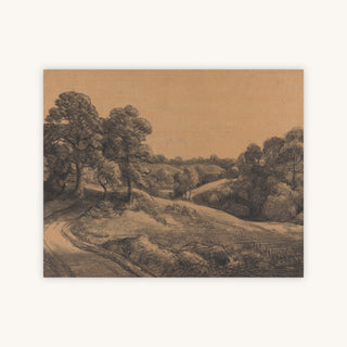 WOODEN SLOPE WITH A RECEDING ROAD — Primary Image