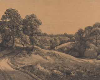 WOODEN SLOPE WITH A RECEDING ROAD