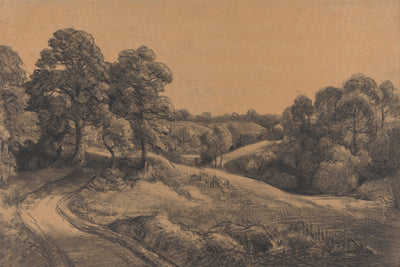 Wooden Slope with a Receding Road
