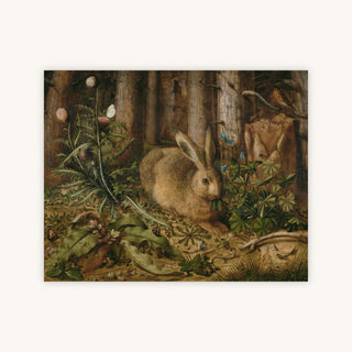 WOODLAND RABBIT — Primary Image