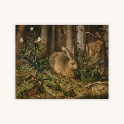 WOODLAND RABBIT — Primary Image