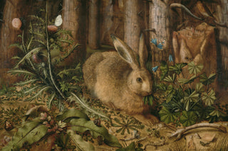 WOODLAND RABBIT
