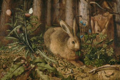 WOODLAND RABBIT