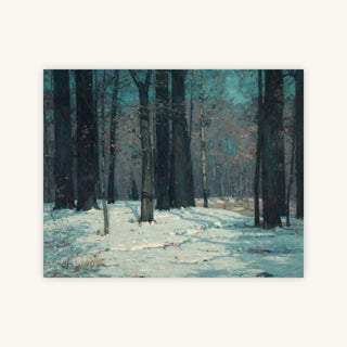 WOODS IN WINTER — Primary Image