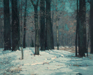 WOODS IN WINTER
