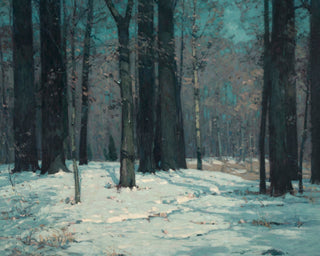 Woods in Winter