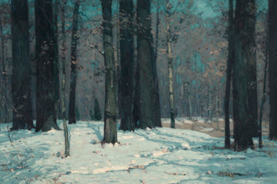 WOODS IN WINTER