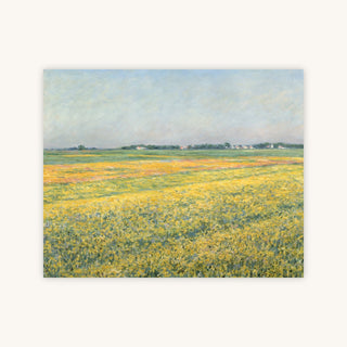 YELLOW FIELDS — Primary Image