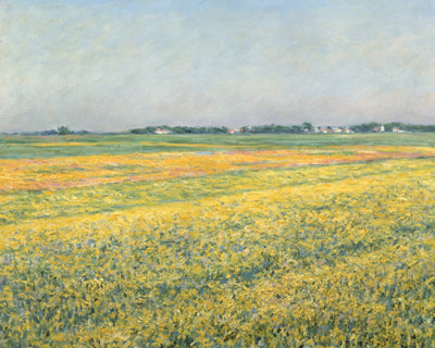 Yellow Fields