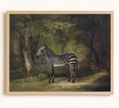 ZEBRA - Museum Quality Art