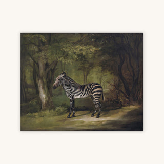 ZEBRA — Primary Image