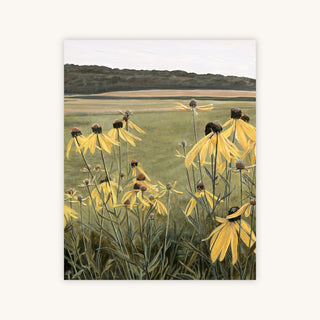 ZEPHYR — Primary Image
