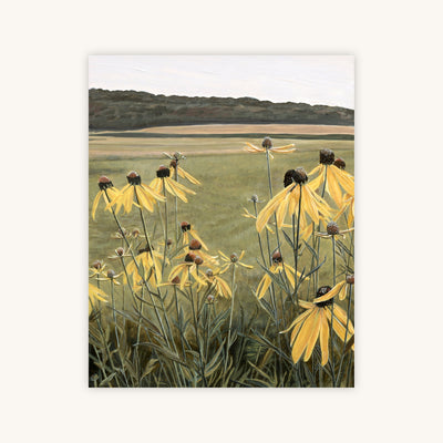 ZEPHYR — Primary Image