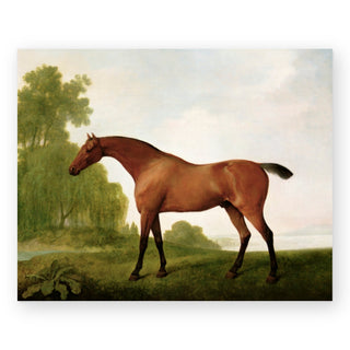 a-bay-thoroughbred-in-a-landscape-art-print_Featured