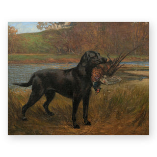 a-black-labrador-retrieving-a-pheasant-art-print_Featured