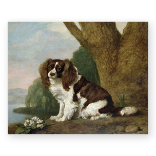 a-brown-and-white-spaniel-art-print_Featured