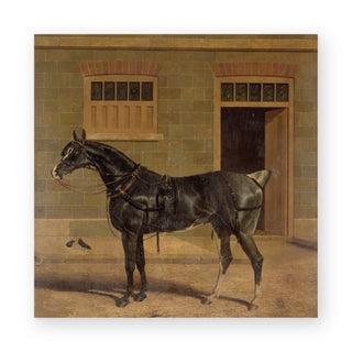 a-carriage-horse-in-a-stableyard-square-art-print_Featured