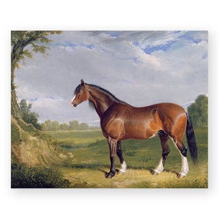 a-clydesdale-stallion-art-print_Featured
