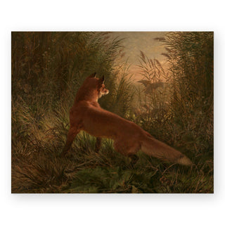 a-fox-siegwald-dahl-art-print_Featured