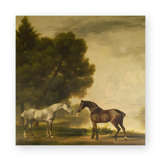 a-grey-and-a-bay-in-a-landscape-george-stubbs-art-print_Featured