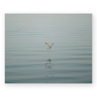a-moment-of-air-sally-grieshaber-art-print_Featured