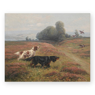 a-pointer-and-a-setter-sending-up-grouse-art-print_Featured