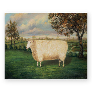 a-prize-sheep-of-the-old-lincoln-breed-art-print_Featured