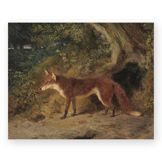 a-red-fox-art-print_Featured