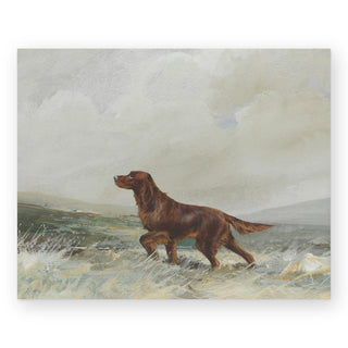 a-red-setter-art-print_Featured