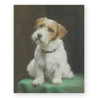 a-sealyham-terrier-art-print_Featured
