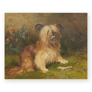 a-skye-terrier-art-print_Featured