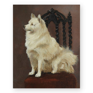 a-spitz-seated-on-a-fine-chair-art-print_Featured