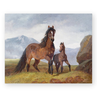 a-welsh-mountain-mare-and-foal-art-print_Featured