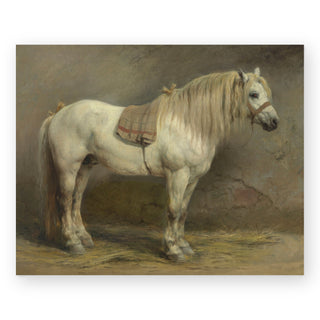 a-white-horse-art-print_Featured