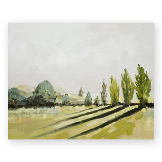 afternoon-napa-valley-art-print_Featured